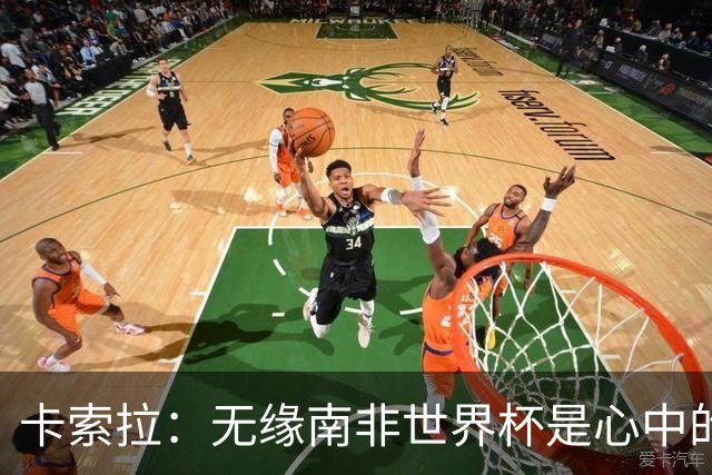 卡索拉：无缘南非世界杯是心中的刺